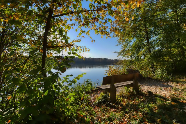 西部第四到 西部第四到