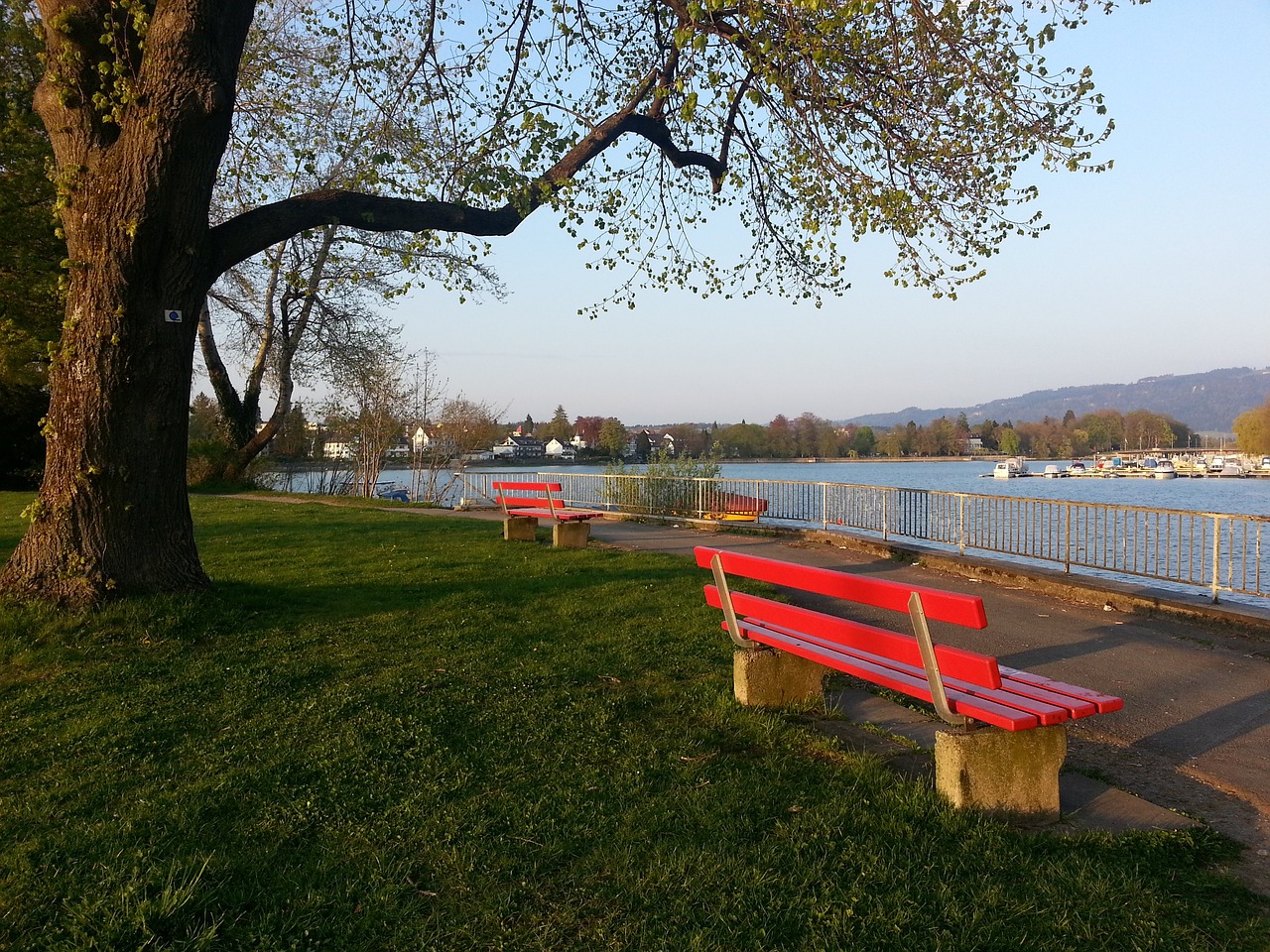 乌度卡可以 乌度卡可以