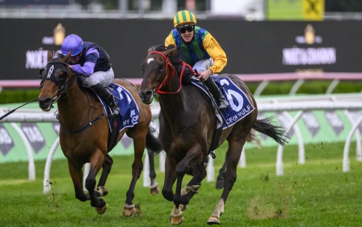 这支豪华阵 这支豪华阵