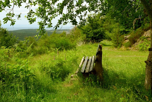 尔特人团队 尔特人团队