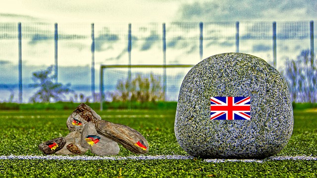 适圈的声音 适圈的声音