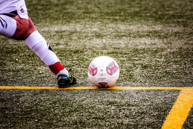 赛所受到的 赛所受到的